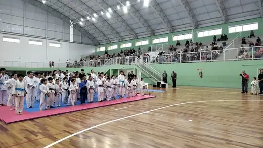 Festival de Judô de Louveira — foto 14