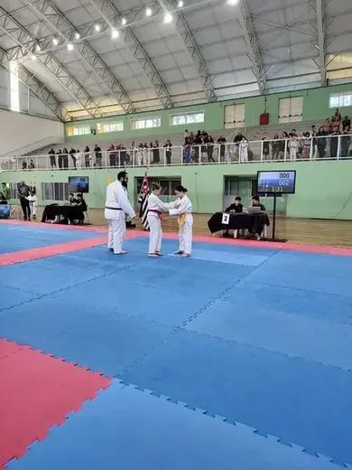 Festival de Judô de Louveira — foto 74