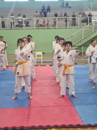 19/04 - Festival de Karatê de Louveira — foto 35