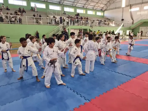 19/04 - Festival de Karatê de Louveira — foto 41