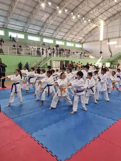 19/04 - Festival de Karatê de Louveira — foto 68