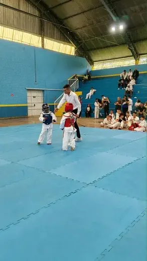 Festival Louveira de Taekwondo 2026 — foto 6