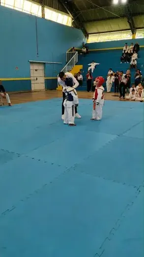 Festival Louveira de Taekwondo 2026 — foto 8