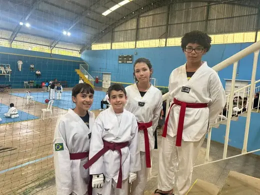 Festival Louveira de Taekwondo 2026 — foto 15